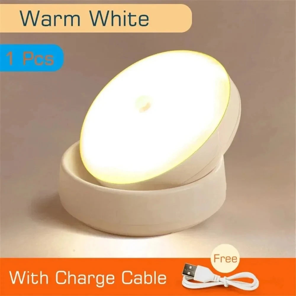USB Rechargeable Motion Sensor LED Night Light