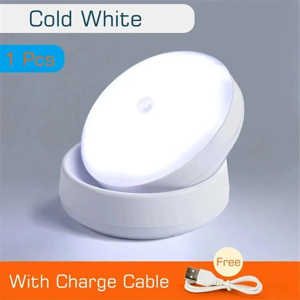 USB Rechargeable Motion Sensor LED Night Light